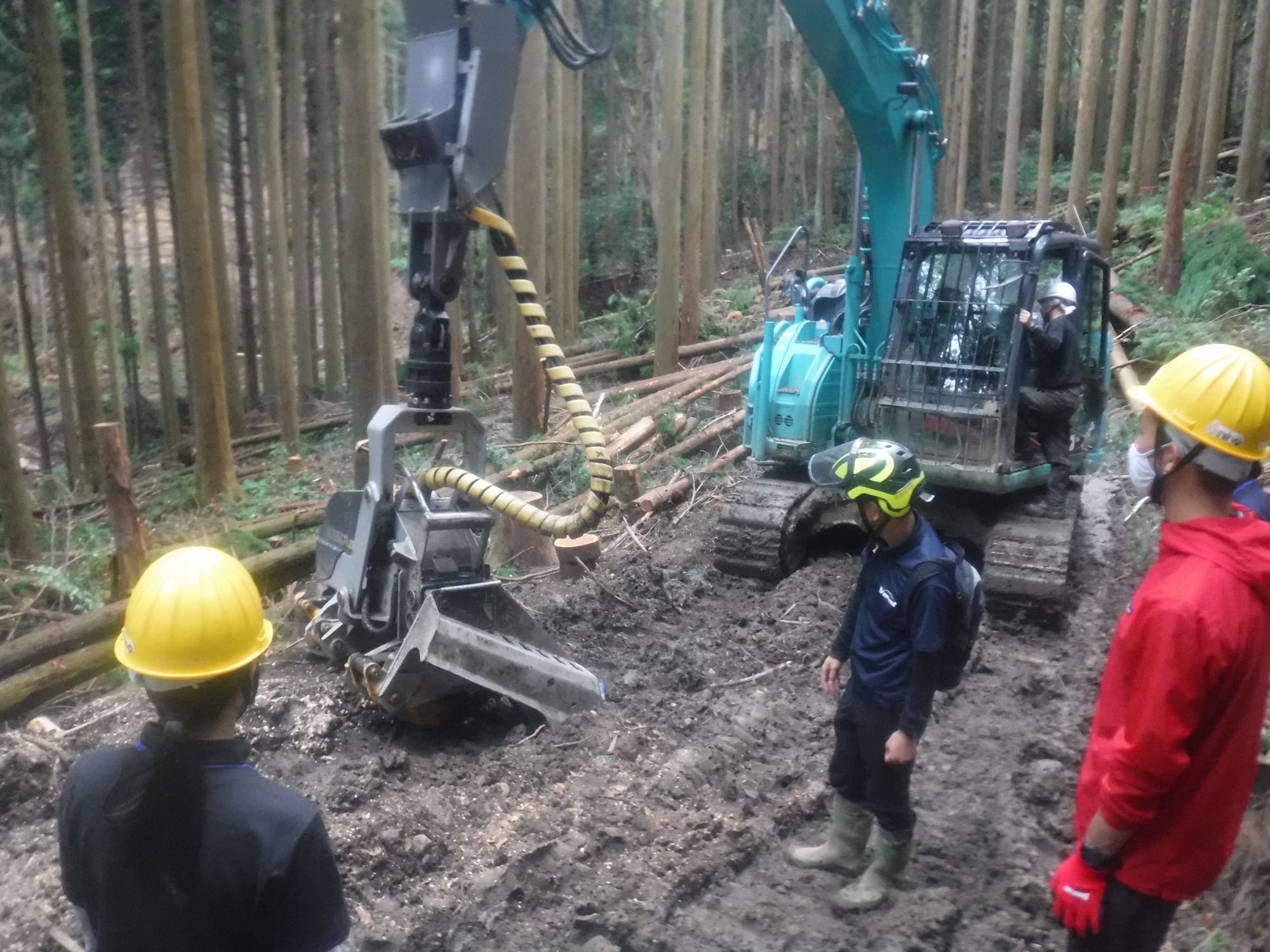 実際に見て、体験してみよう！　「林業体験・見学会」