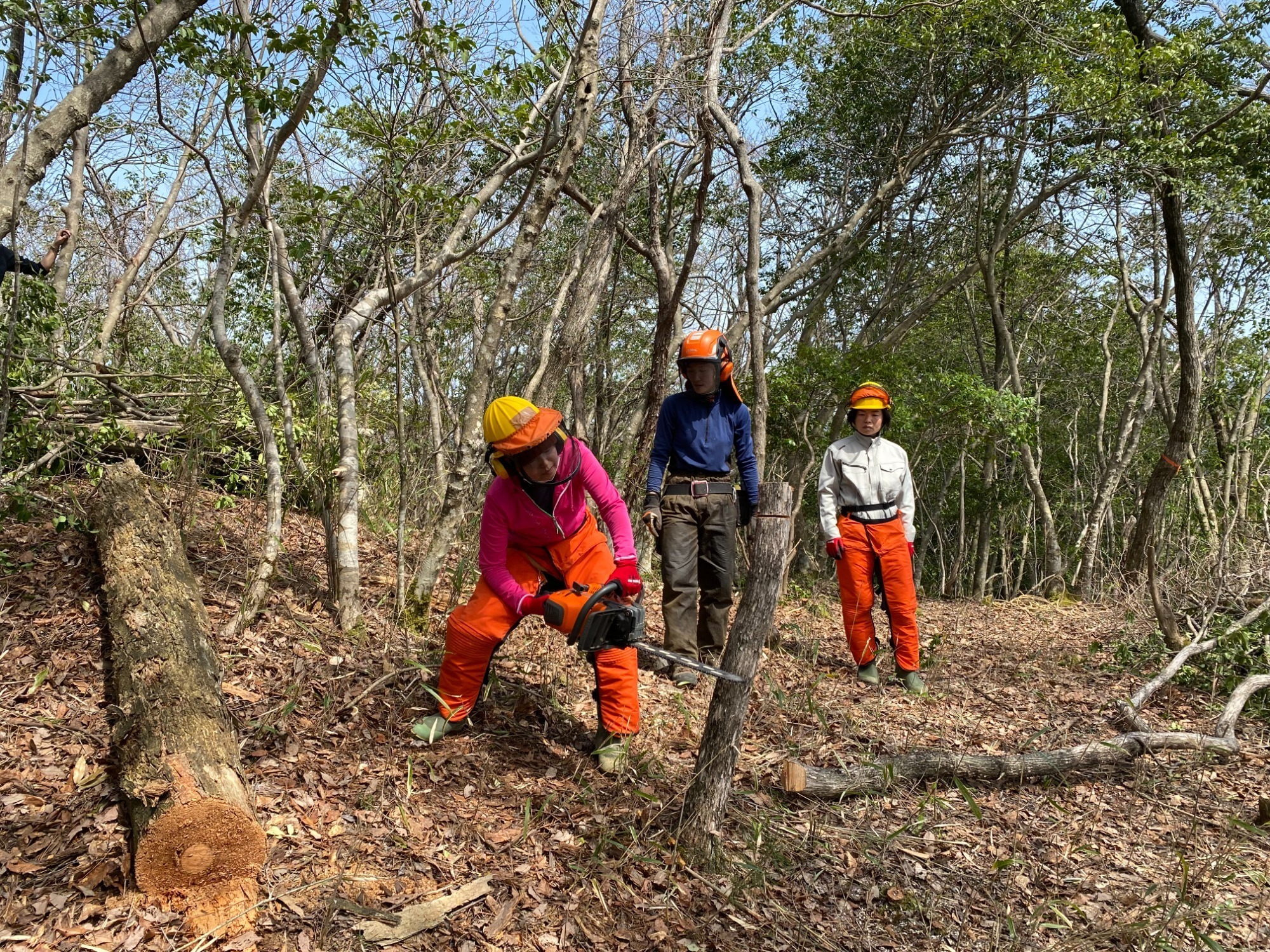 実際に見て、体験してみよう！　「林業体験・見学会」
