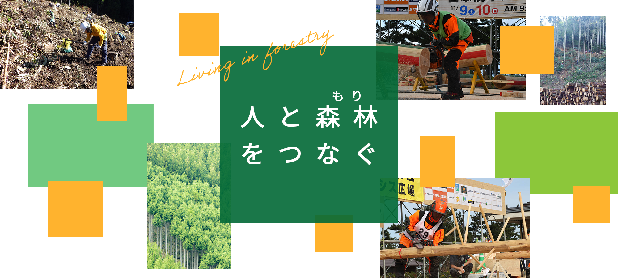 人と森林をつなぐ。