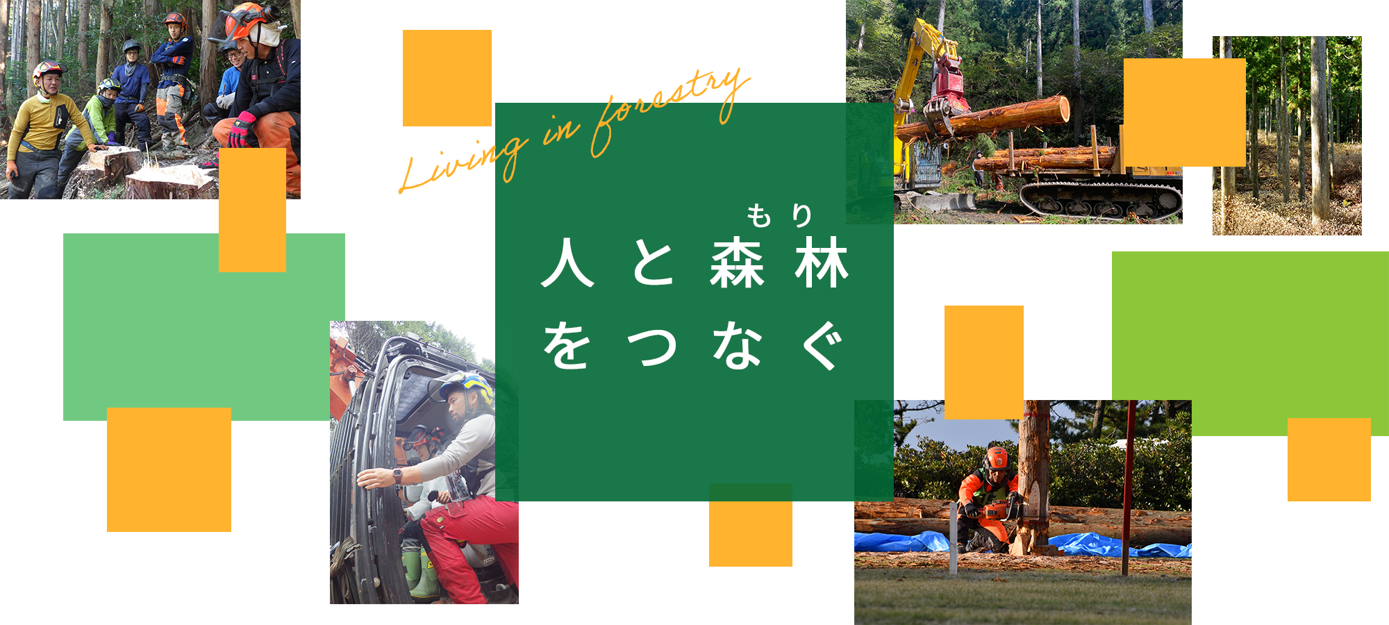 人と森林をつなぐ。