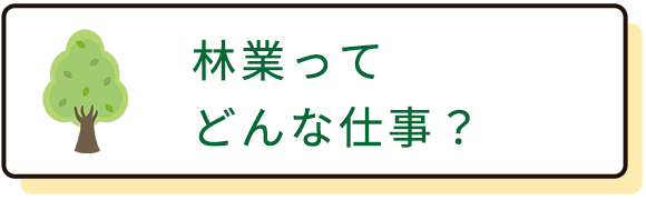 林業ってどんな仕事？