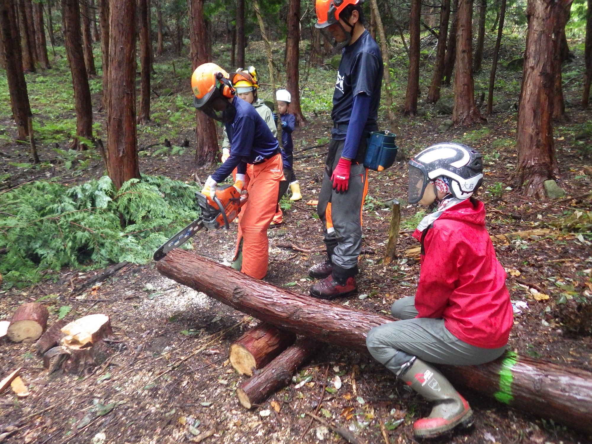 動画 バナー:動画