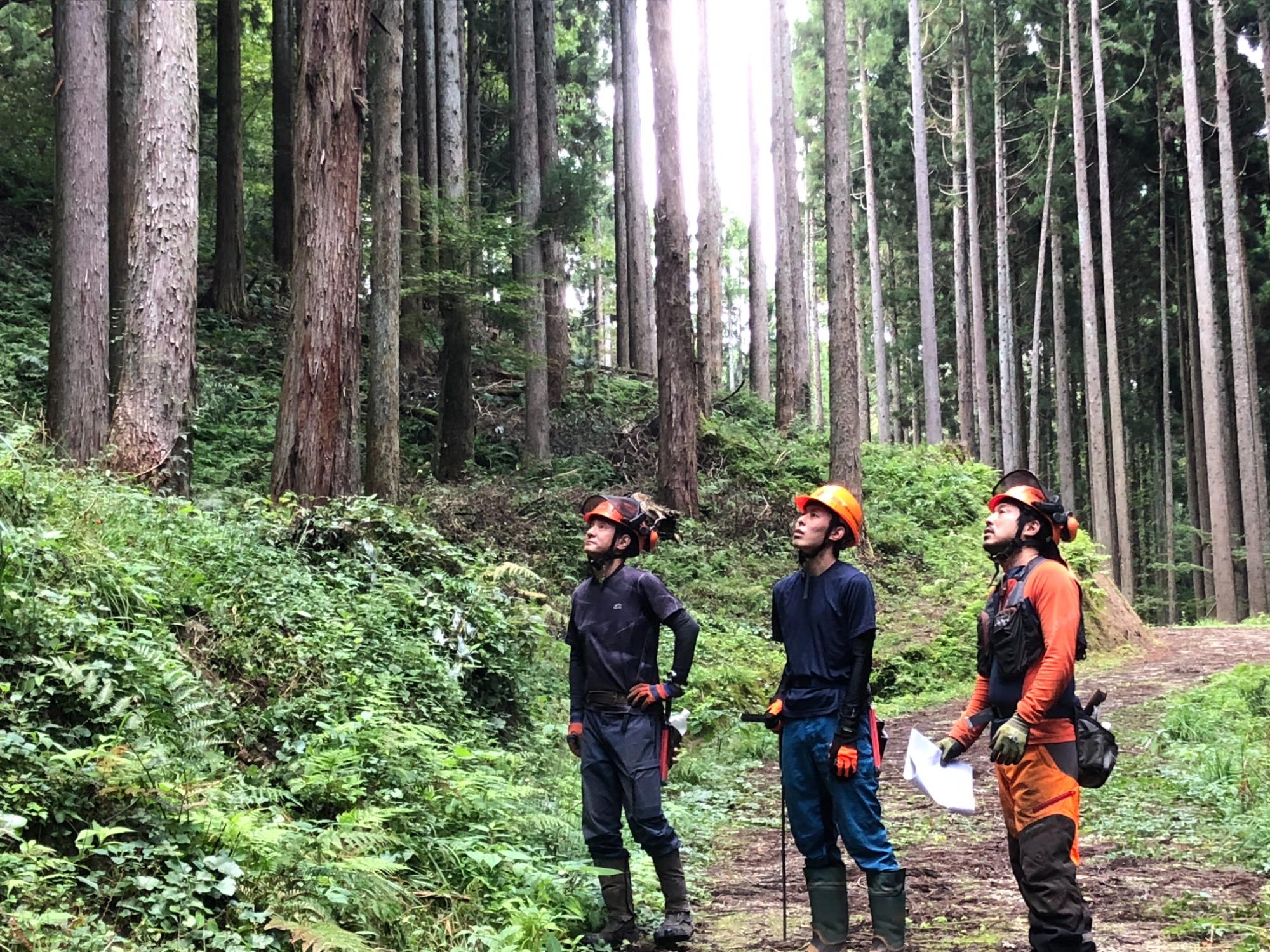 財団について バナー:財団について