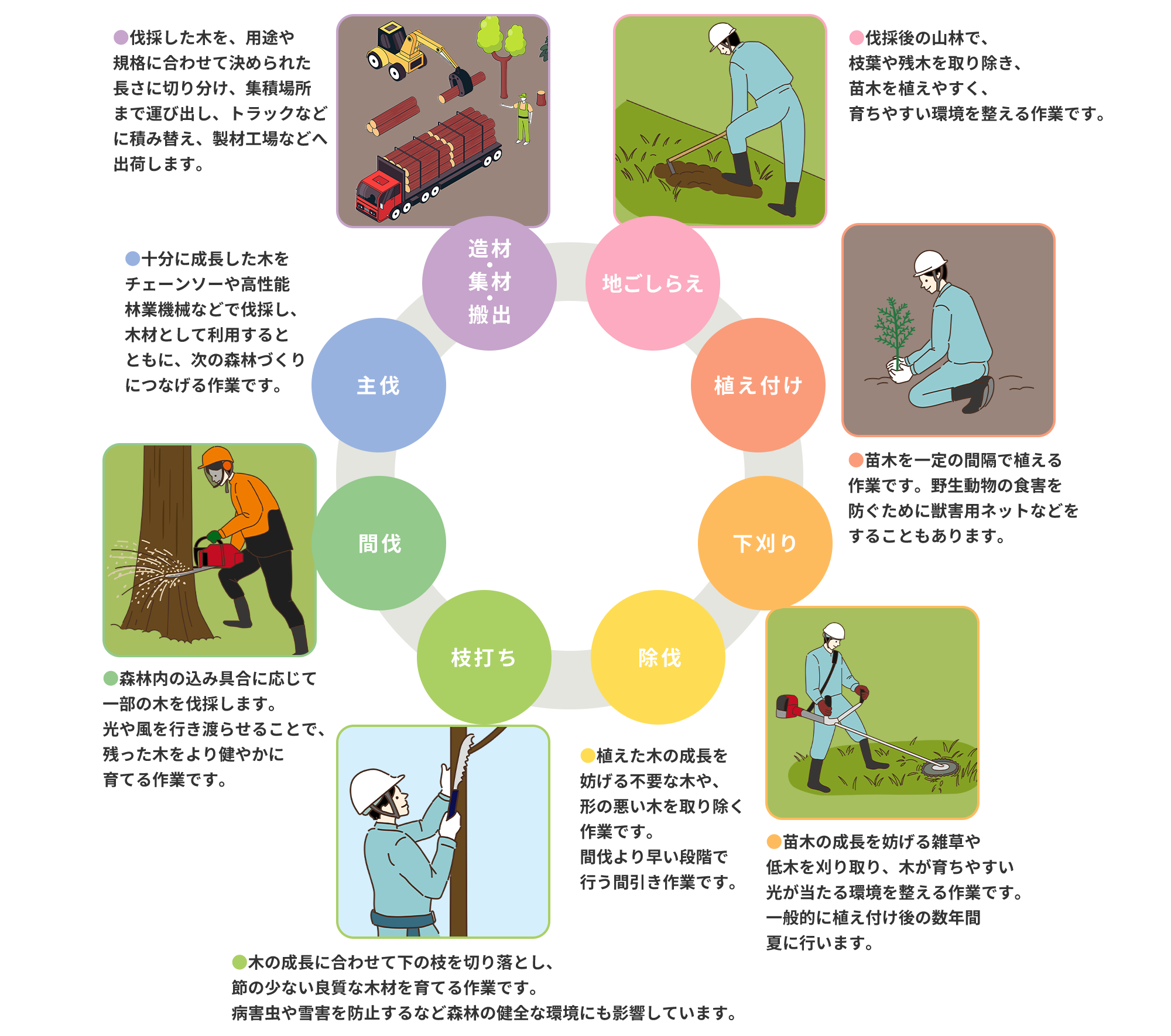 林業の仕事イメージ図