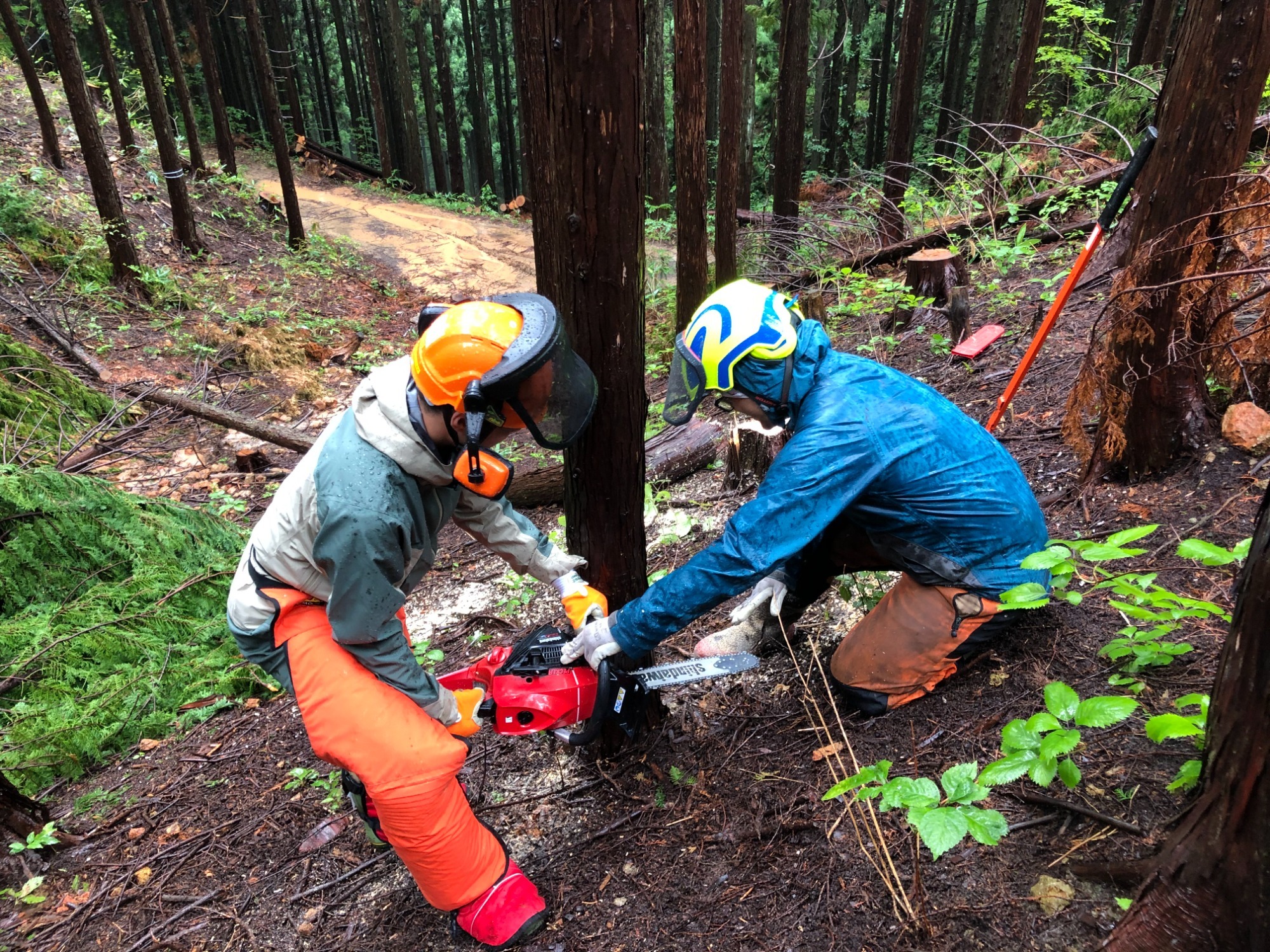森林の仕事体験講座の開催について