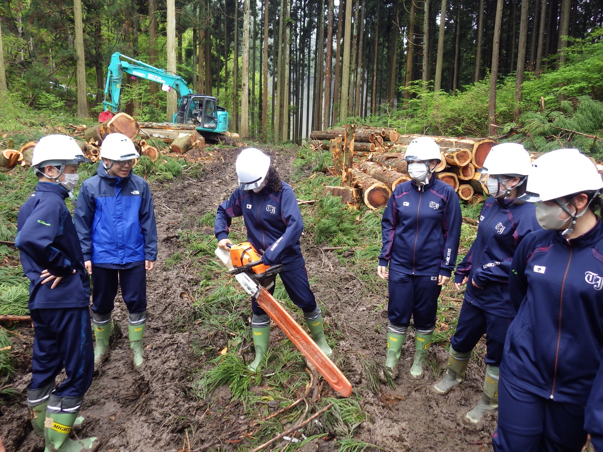 実際に見て、体験してみよう！　「林業体験・見学会」