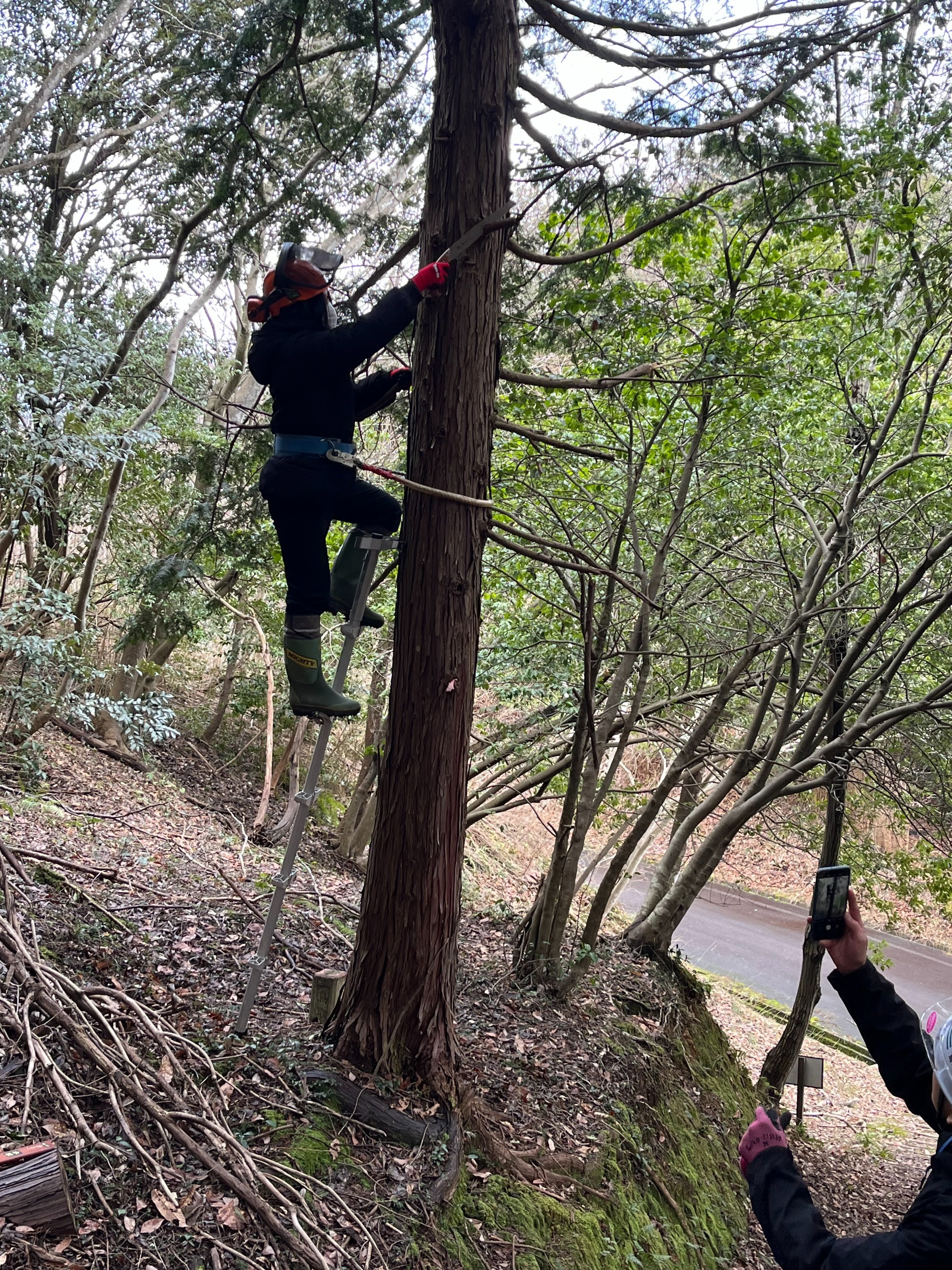 森林の仕事体験講座の開催について