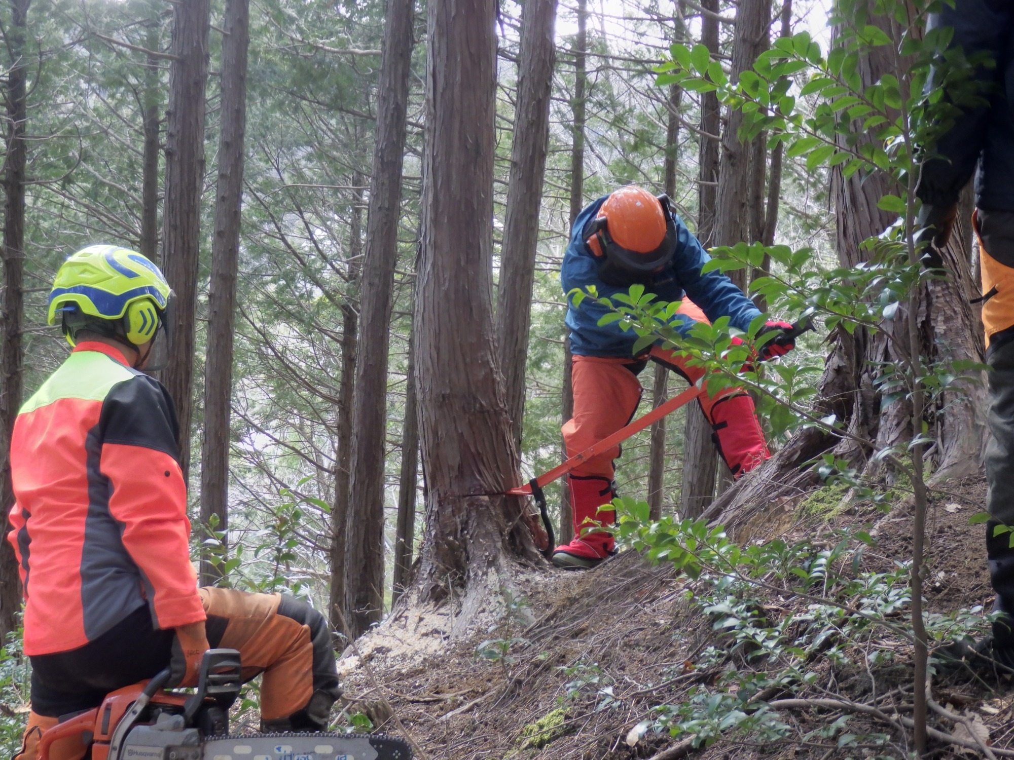 森林の仕事体験講座の開催について