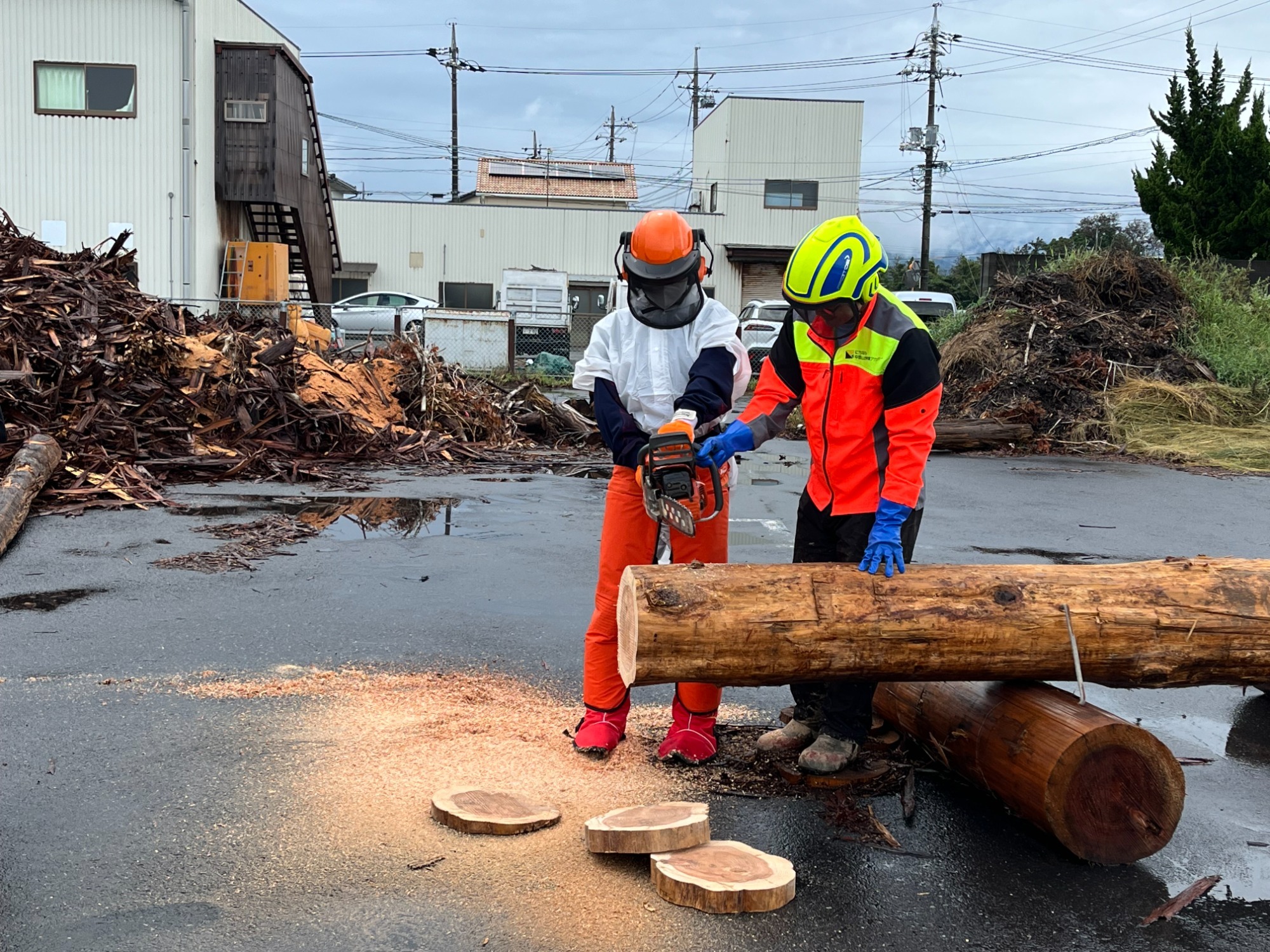 森林の仕事体験講座の開催について